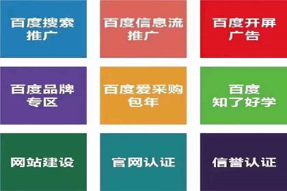 案例研究：竞价广告助力企业品牌升级